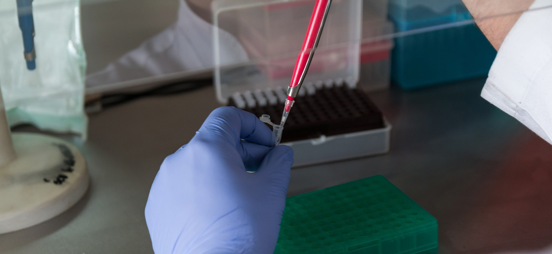 Stock image of a person's hand holding testing equipment